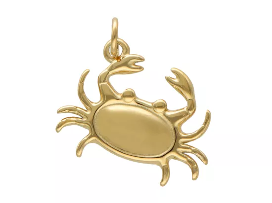 P5W55 ZAWIESZKA OZDOBNA STAL CHIRURGICZNA - 1 SZTUKA